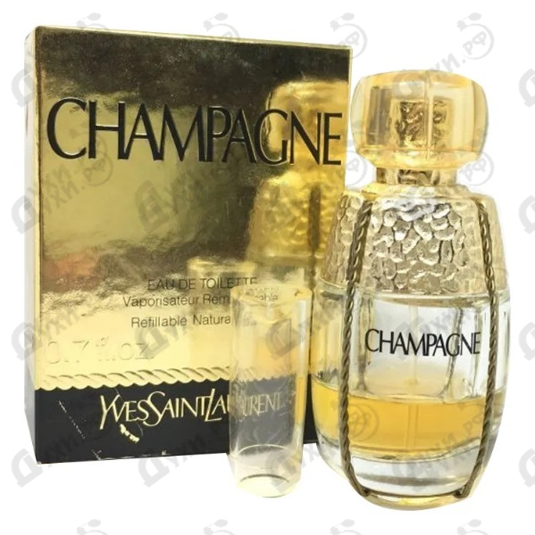 yves saint laurent perfume champagne